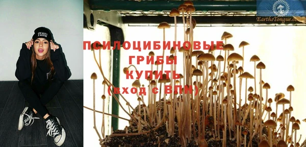 гидра Баксан
