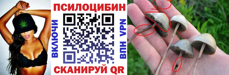 кракен   Белебей  Галлюциногенные грибы Cubensis 