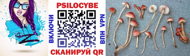 Псилоцибиновые грибы Magic Shrooms Белебей